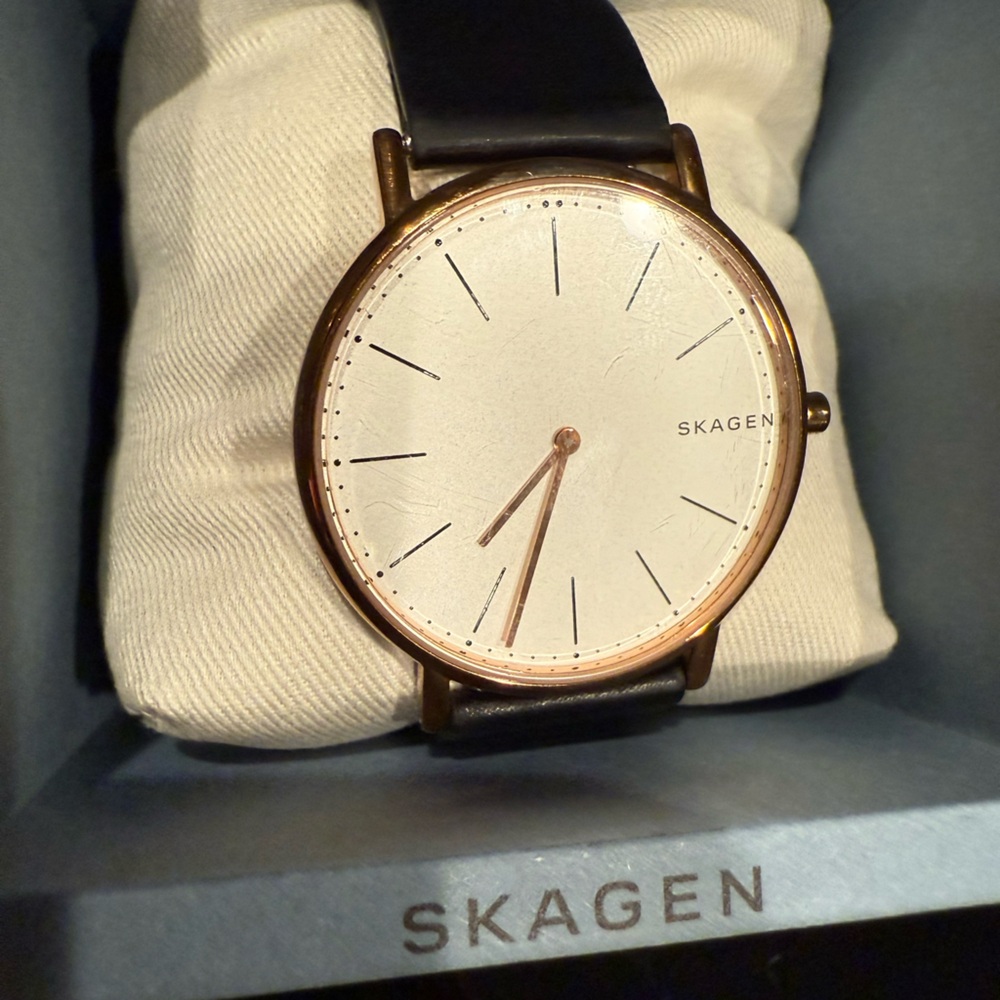 Skagen Signatur SKW6430, Black and Gold with White Face